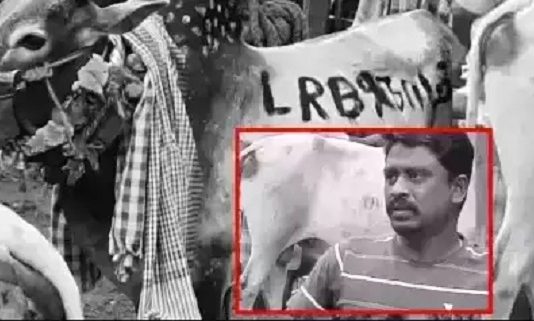 மஞ்சுவிரட்டு போட்டியில் காளையும், அதன் உரிமையாளரும் பலியான சோகம்!!