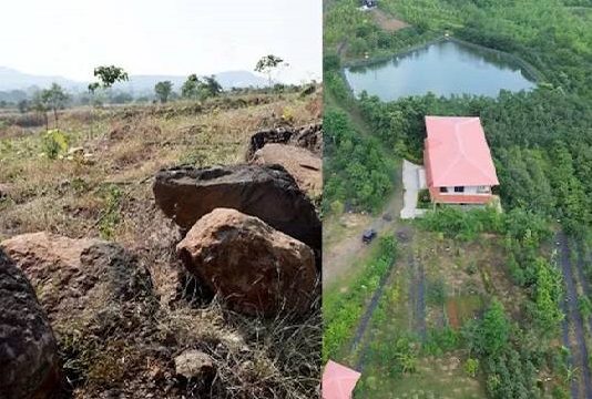 8 ஆண்டுகள், 40 ஆயிரம் மரங்கள்.. வறண்ட நிலத்தை வனப்பகுதியாக மாற்றிய நபர் யார் தெரியுமா?