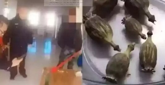 ஹோம் வொர்க் ஏன் செய்யல? கண்டித்த அப்பாவை போலீசில் பிடிச்சி கொடுத்த 10 வயது சிறுவன்!!