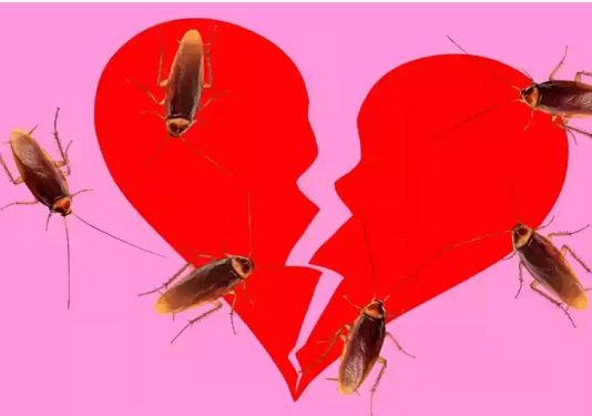 காதலியை இப்படியும் பழிவாங்கலாமா? முன்பதிவுக்கு குவியும் இளைஞர்கள்!!